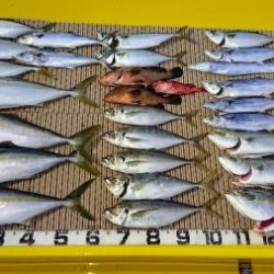 火遠理丸（ほおりまる） 釣果