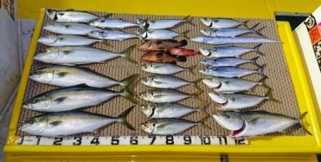 火遠理丸（ほおりまる） 釣果