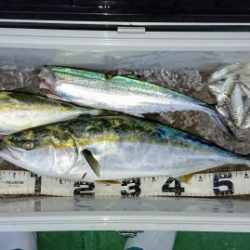 火遠理丸（ほおりまる） 釣果