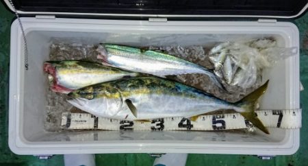 火遠理丸（ほおりまる） 釣果
