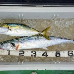 火遠理丸（ほおりまる） 釣果