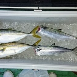 火遠理丸（ほおりまる） 釣果