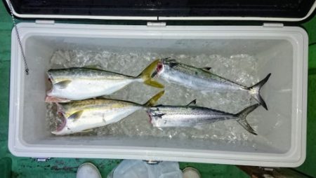 火遠理丸（ほおりまる） 釣果