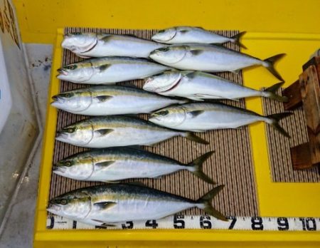 火遠理丸（ほおりまる） 釣果