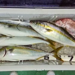 火遠理丸(ほおりまる) 釣果