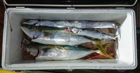 火遠理丸(ほおりまる) 釣果