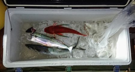 火遠理丸(ほおりまる) 釣果