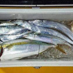 火遠理丸(ほおりまる) 釣果