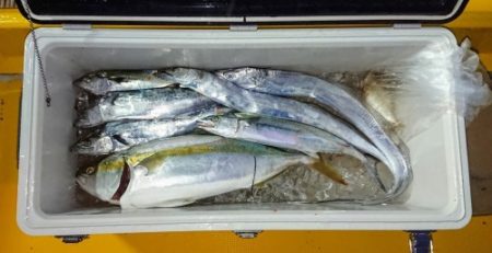 火遠理丸(ほおりまる) 釣果