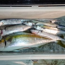 火遠理丸(ほおりまる) 釣果