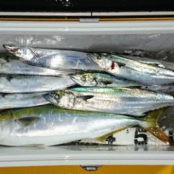 火遠理丸(ほおりまる) 釣果
