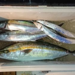 火遠理丸(ほおりまる) 釣果