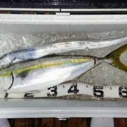 火遠理丸(ほおりまる) 釣果