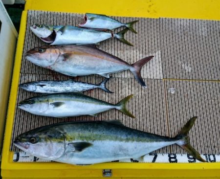 火遠理丸（ほおりまる） 釣果