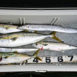 火遠理丸（ほおりまる） 釣果