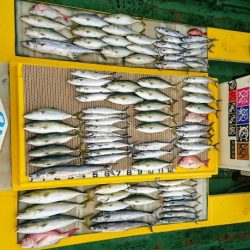 火遠理丸（ほおりまる） 釣果