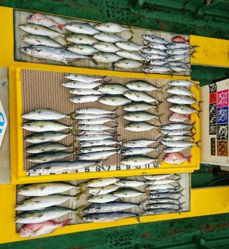 火遠理丸（ほおりまる） 釣果