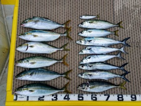 火遠理丸（ほおりまる） 釣果