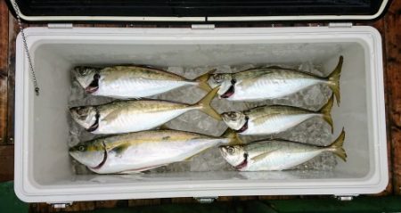 火遠理丸（ほおりまる） 釣果