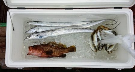 火遠理丸（ほおりまる） 釣果