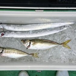 火遠理丸（ほおりまる） 釣果