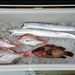 火遠理丸（ほおりまる） 釣果