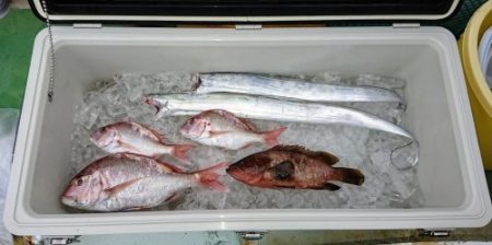 火遠理丸（ほおりまる） 釣果