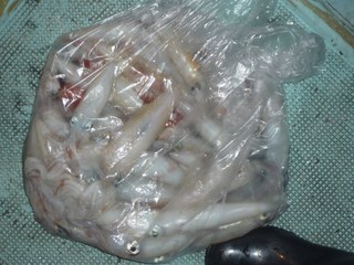 松福丸 釣果