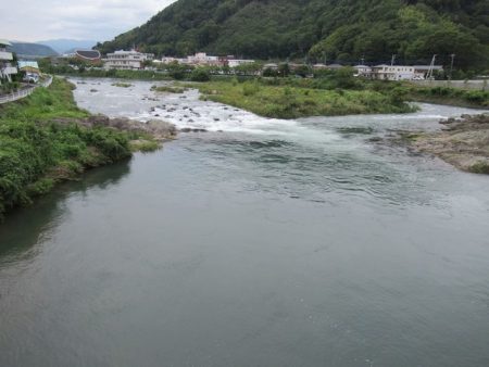 狩野川(狩野川漁業協同組合) 釣果
