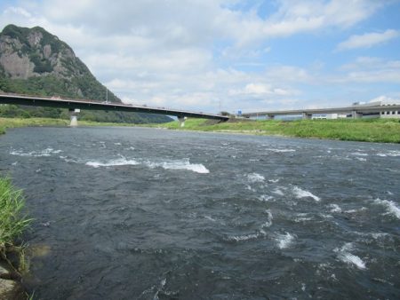 狩野川(狩野川漁業協同組合) 釣果