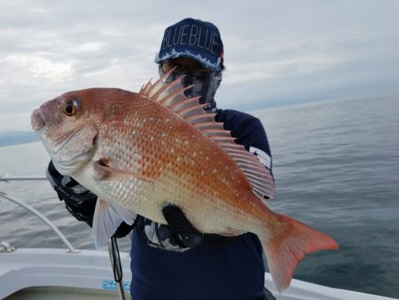 遊漁船　ニライカナイ 釣果