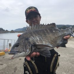 由良渡船 釣果