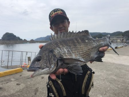 由良渡船 釣果