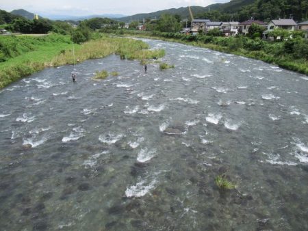 狩野川(狩野川漁業協同組合) 釣果