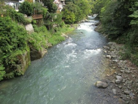 狩野川(狩野川漁業協同組合) 釣果