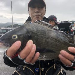 由良渡船 釣果
