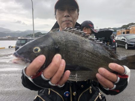 由良渡船 釣果