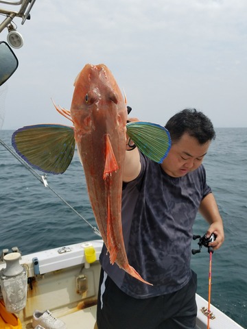 遊漁船　ニライカナイ 釣果