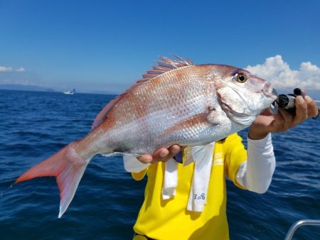 遊漁船　ニライカナイ 釣果