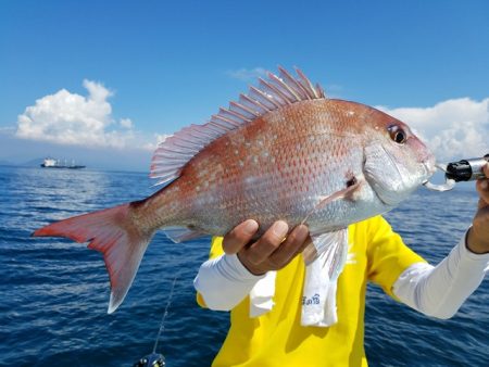 遊漁船　ニライカナイ 釣果