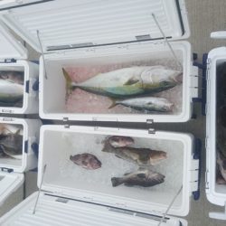 気仙沼　つり丸 釣果