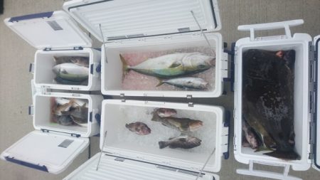 気仙沼　つり丸 釣果