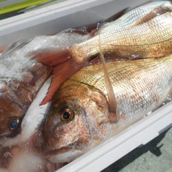 こうゆう丸 釣果