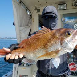 遊漁船　ニライカナイ 釣果