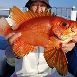 しまや丸 釣果