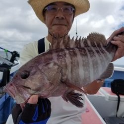 しまや丸 釣果
