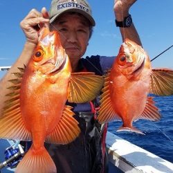 しまや丸 釣果