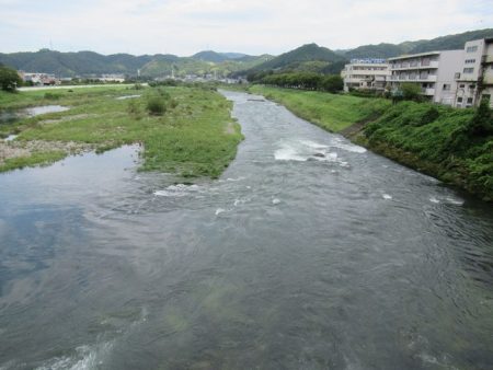 狩野川(狩野川漁業協同組合) 釣果