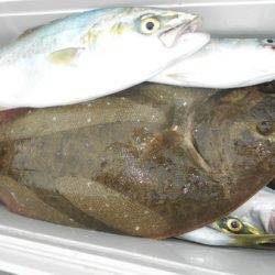 こうゆう丸 釣果