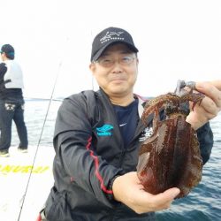 Magic（マジック） 釣果